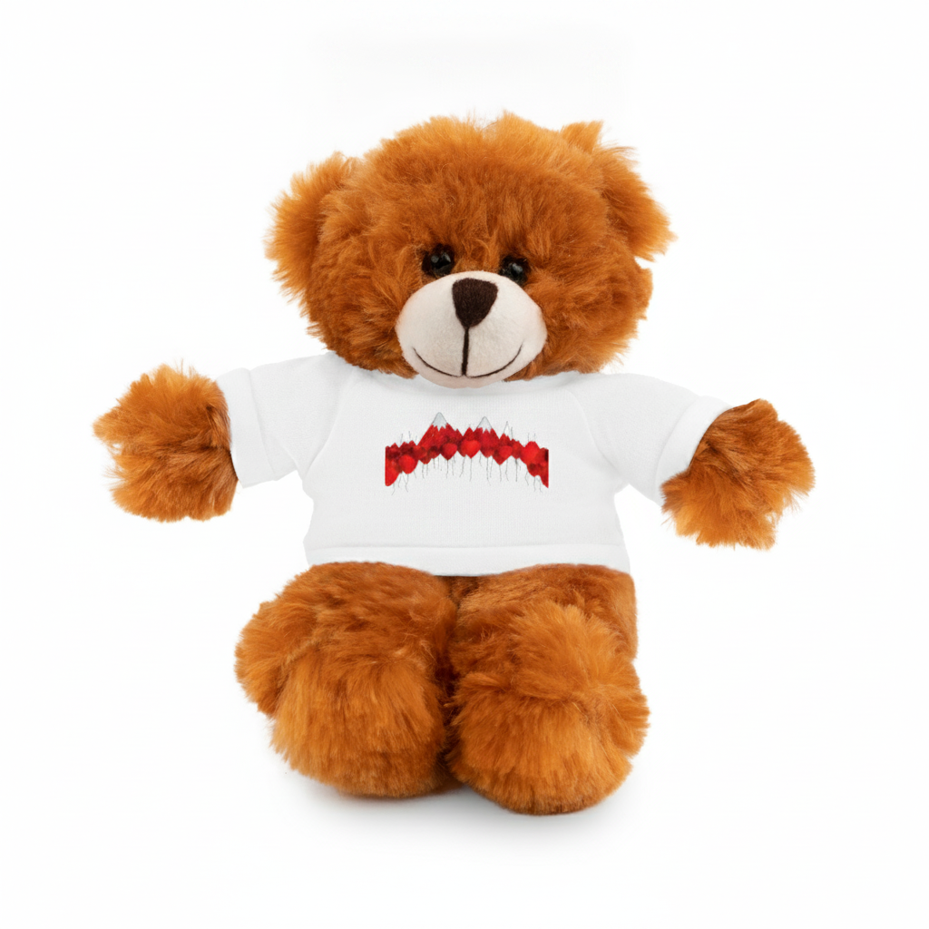 Personalized Birth Stats Teddy Bear, Stuffed Animal with T-Shirt | Birth Announcement Keepsake